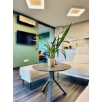 išnuomojamas 2 kamb. butas Radvilėnų pl. 3c Kaunas